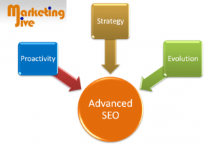 Professional-Search-Engine-Optimization-Services